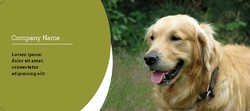 We Love Your Pet
