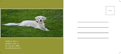 We Love Your Pet