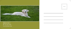 We Love Your Pet