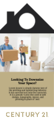 Door Hangers (Century 21 - 2)