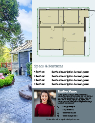 Flyer (Independent Agent - 10)