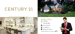 Postcard (Century 21  - 3)
