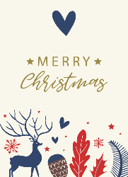 Flat Christmas Card-5x7 - B20