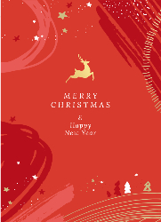 Flat Christmas Card-5x7 - B21