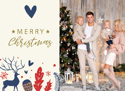 Flat Christmas Card-5x7 - B25