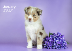 2027 Fluffy Friends 1