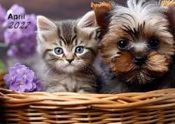2027 Fluffy Friends 1