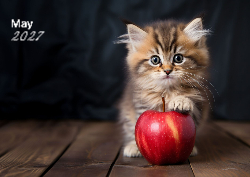 2027 Fluffy Friends 1