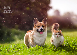 2027 Fluffy Friends 1