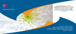 postcard-957