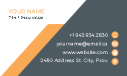 Business Card 35