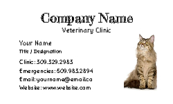 Business Card 28 Back