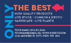 Business Card 27 Back
