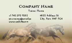 Business Card 26 Back