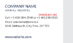 Business Card 24 Back