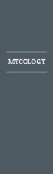 Bookmark 8