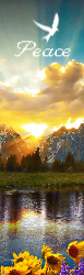 Bookmark 10