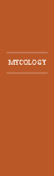 Bookmark 16