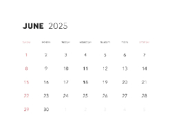 2025 Wall Calendar 11x17 folds to 8.5 x 11 ( Design 14)