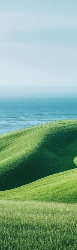 Bookmark 18