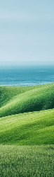 Bookmark 18