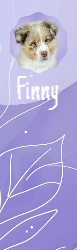 Bookmark 18