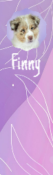 Bookmark 18