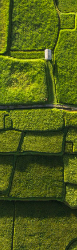 Bookmark 20
