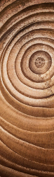 Bookmark 20