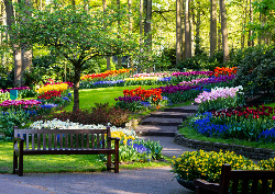 2027 Garden