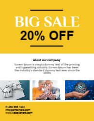 Flyer 19