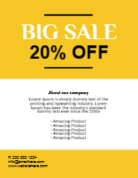 Flyer 19