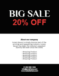 Flyer 20