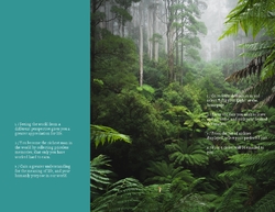 Mountain Tours Travel Brochure