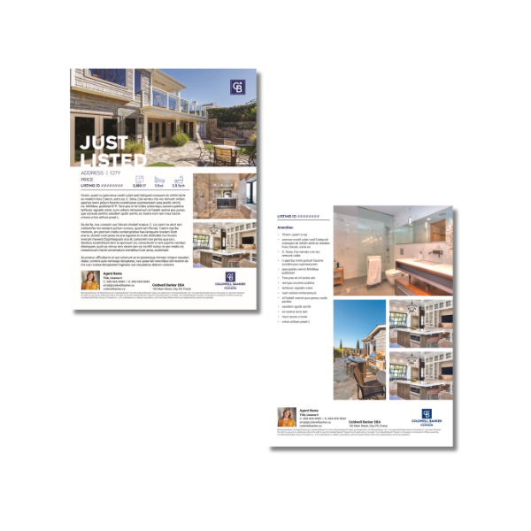 Coldwell Banker Property Flyers graphic design
