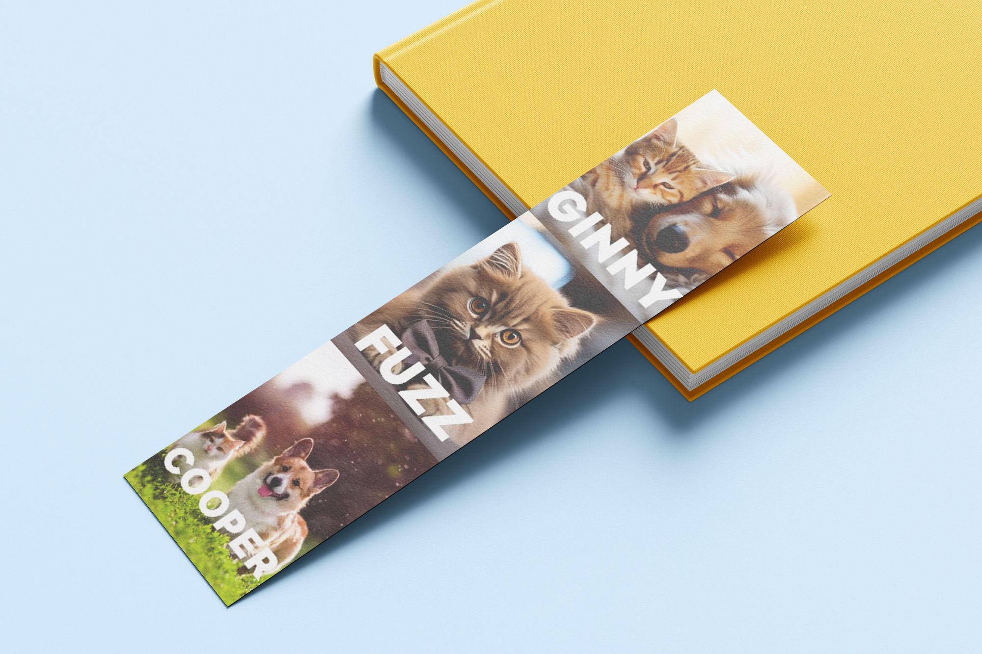 Bookmark 2000x1333222