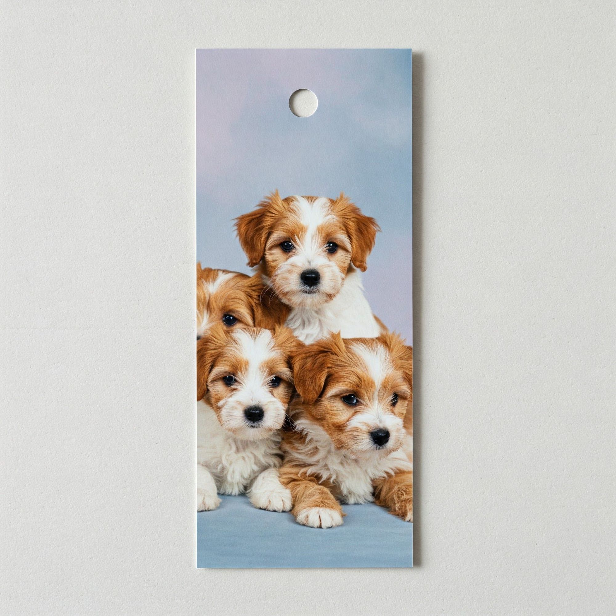 Bookmarks