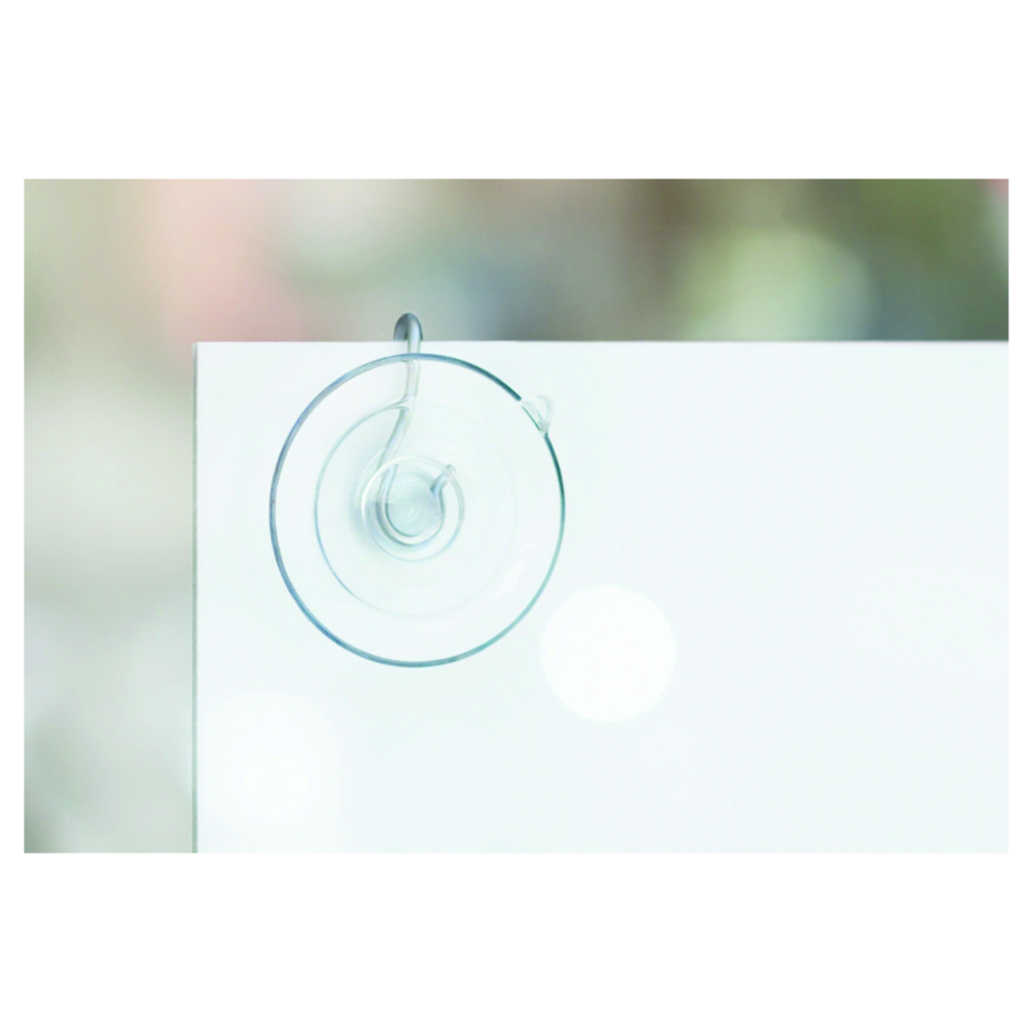 Suction Cups