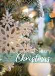 Seasonal Greeting Card