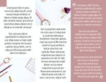 Pink Minimalist Brochure