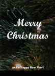 Christmas Greeting Card