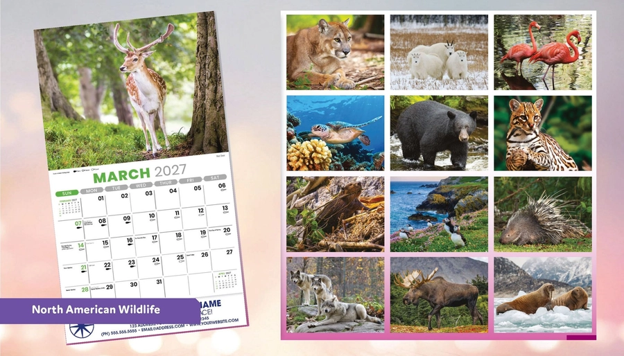 North American Wildlife