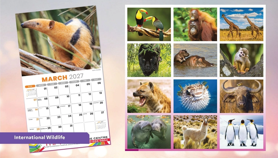 International Wildlife
