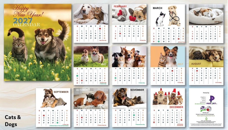 Cats & Dogs