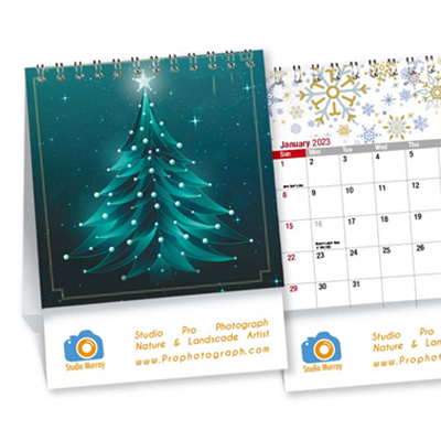 Mini Double View calendar