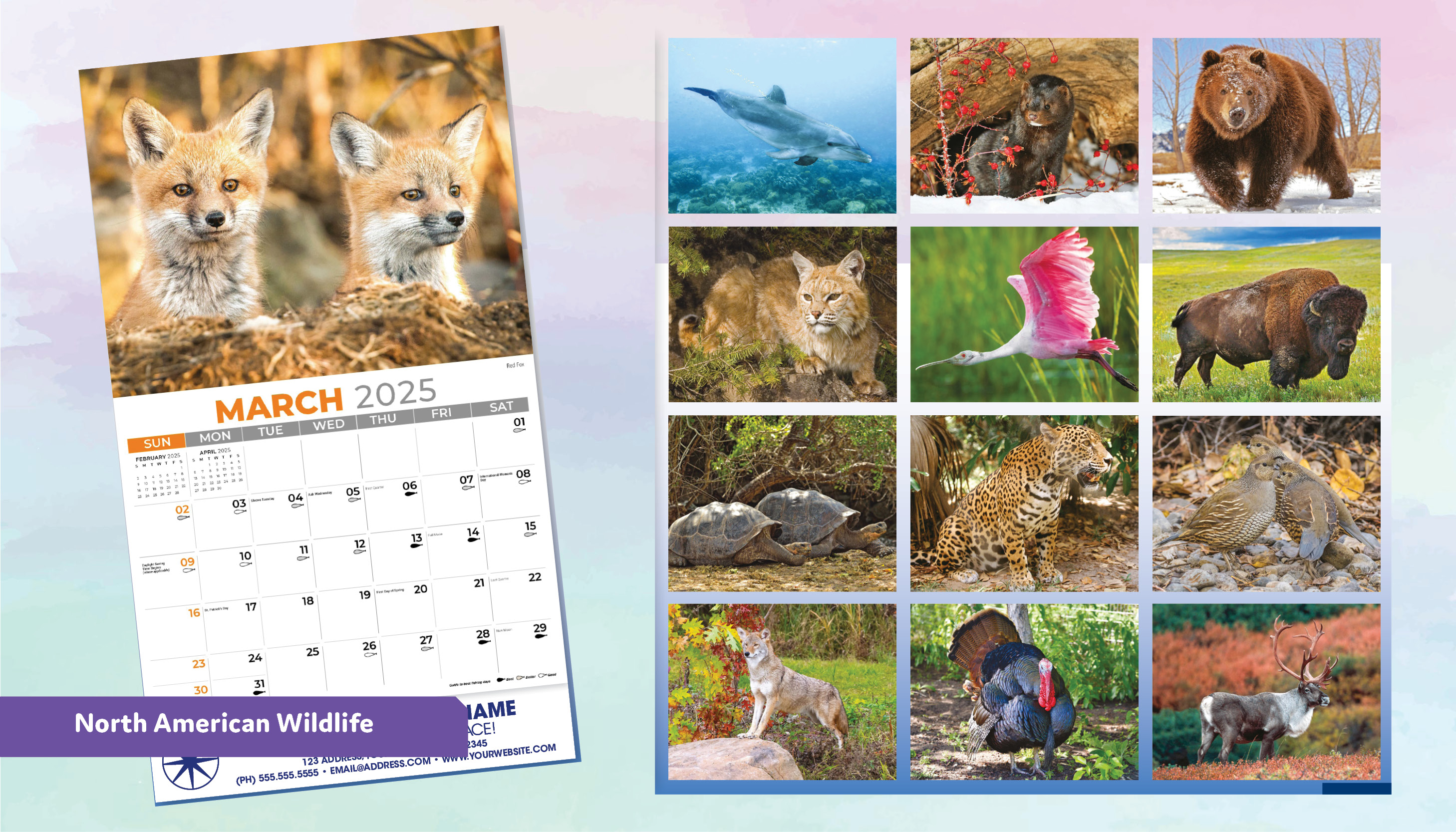 North American Wildlife