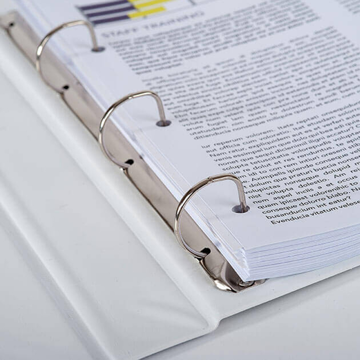 Binder Document Sets