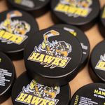 Custom Printed Hockey Pucks 2