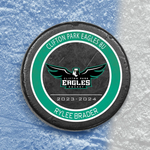 Custom Printed Hockey Pucks 4