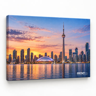 https://d241k1re3tsyhu.cloudfront.net/pryntcoon/images/product/400x400_05194806202609.png
